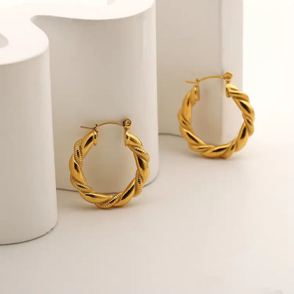 Luxurious Twisted stainless steel earrings