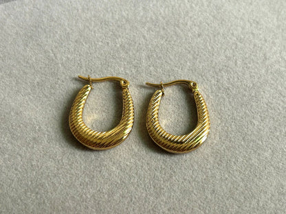 Premium stainless steel earrings