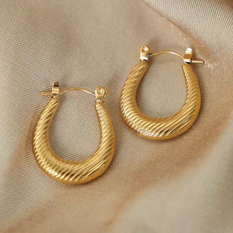 Premium stainless steel earrings