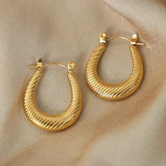 Premium stainless steel earrings