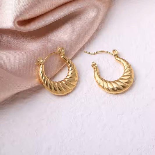 Luxury Twisted anti tarnish Earrings