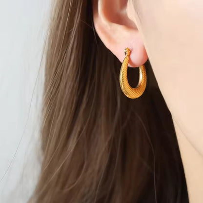 Premium stainless steel earrings